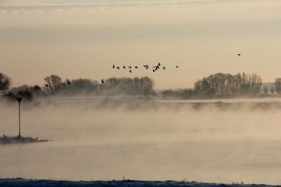 Boerderij de Zalm